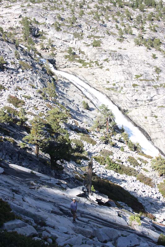 horse tail middle