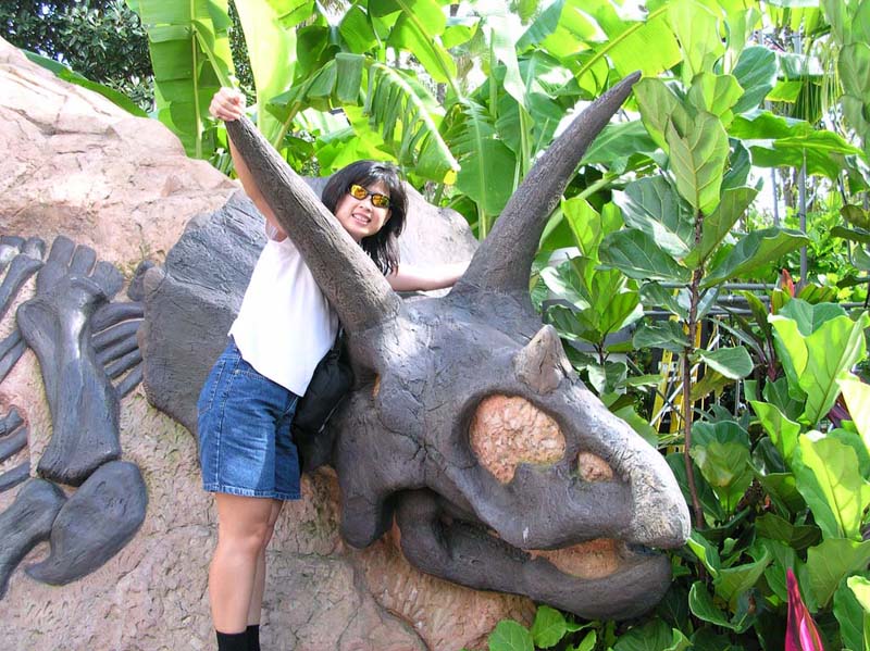 DinoSore